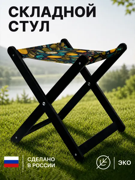 Интерьерные идеи Стул складной туристический для отдыха и рыбалки с принтом