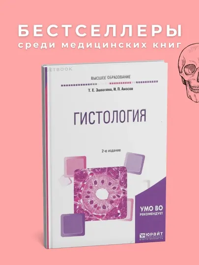 Гистология Автор: Золотова 2021, Медицина