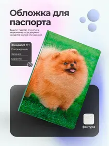Обложка на паспорт c собакой шпиц