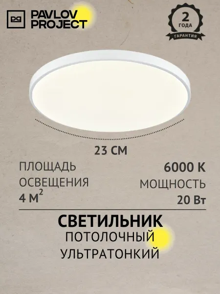 Pavlov Project Потолочный светильник LED 20W 6000К белый PP-2018-6K-White