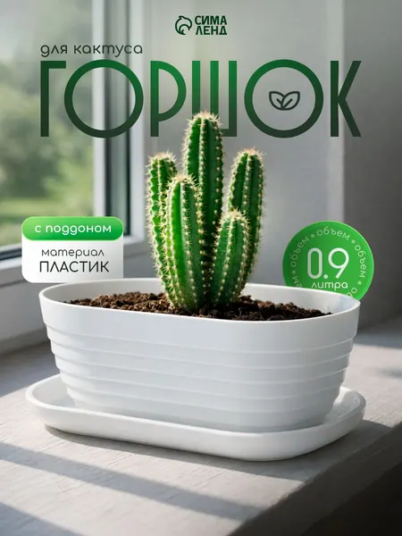 Горшок для цветов, 0,9 л, кашпо уличное, ящик пластиковый, для суккулентов и кактусов, с поддоном