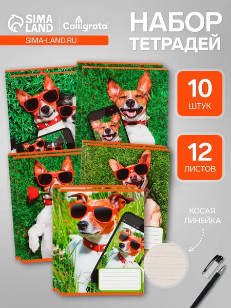 Комплект тетрадей из 10 штук, 12 листов в косую линию Calligrata СелфиDOG , обложка мелованная бумага, ВД-лак, блок №2, белизна 75% (серые листы), 5 видов