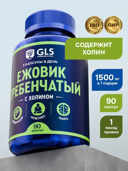 Экстракт Ежовик гребенчатый 1500мг (Lion's Mane) + Холин, витамины / бад для нервной системы, сна и энергии, 90 капсул