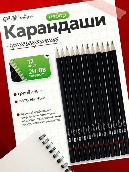 Карандаши чернографитные художественные, набор 12 шт., 2H-8B