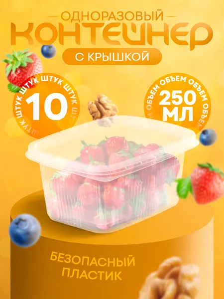 Контейнер одноразовый с крышкой, 10 шт, объем 250 мл, размер 10.8х8.2х4.6 см, пластик