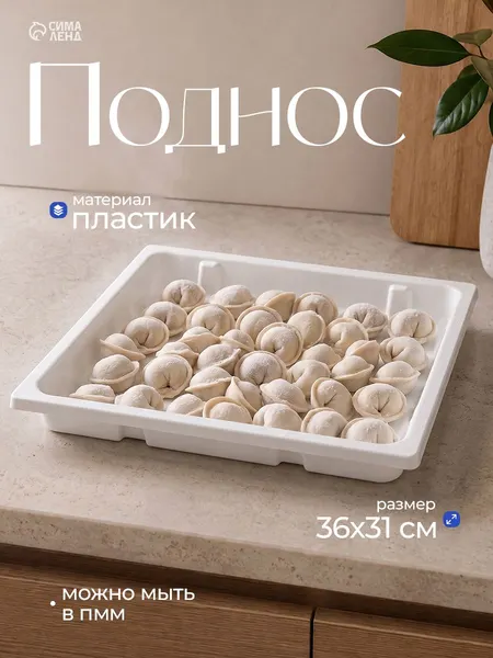 Лоток для заморозки, 36 х 31 х 4 см, поднос пластиковый