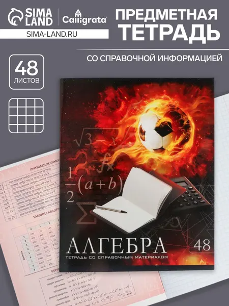 Тетрадь предметная 48 листов в клетку Calligrata, Неон. Алгебра , обложка мелованный картон