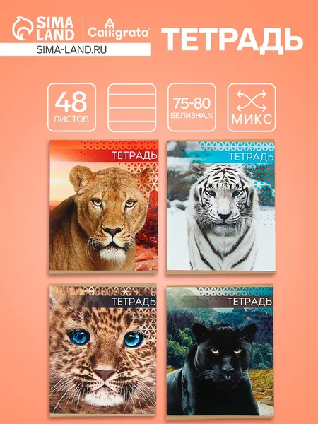 Тетрадь 48 листов в линейку, Calligrata Дикие кошки