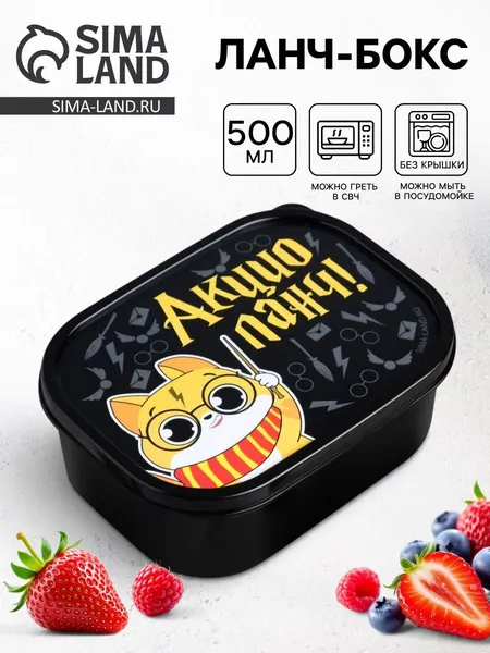 Контейнер для еды, ланч бокс "Акцио Ланч", 500 мл