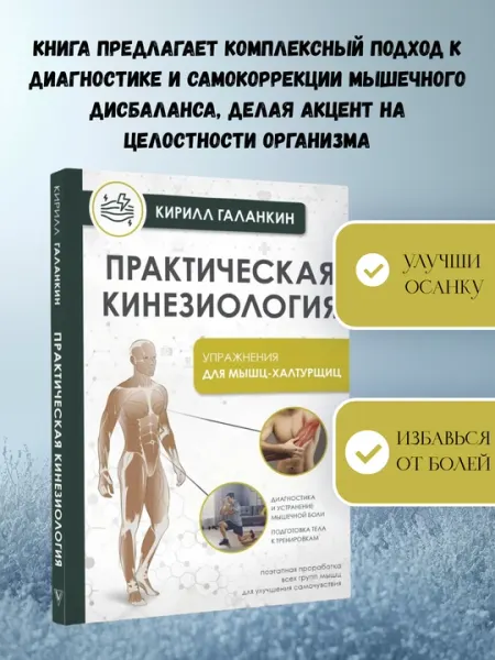 Практическая кинезиология. Как перевоспитать мышцы-халтурщиц, 320 стр., 219×143 мм