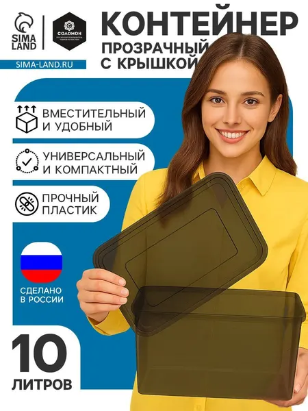 Ящик пластиковый для хранения с крышкой, объём 10 л. / Контейнер для хранения пластиковый прозрачно-чёрный