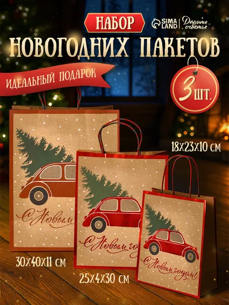 Пакеты подарочные новогодние, набор 3 шт