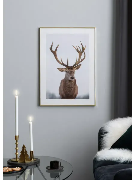 Onllyart Постер 21x30 величественный олень