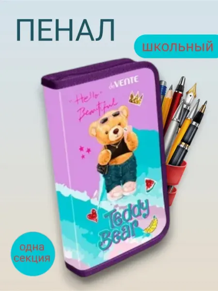 Пенал школьный без наполнения Тедди