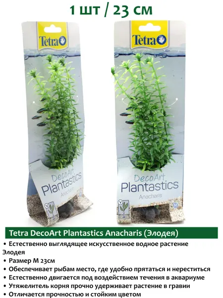 TETRA Anacharis 23см (Элодея) растения для аквариума
