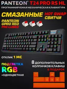 Механическая Игровая Программируемая Клавиатура PANTEON T24 PRO RS HL Black (230)
