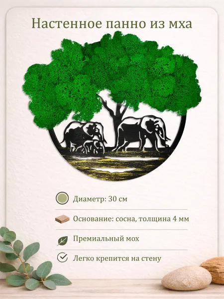 Панно на стену из стабилизированного мха Слоны 30см