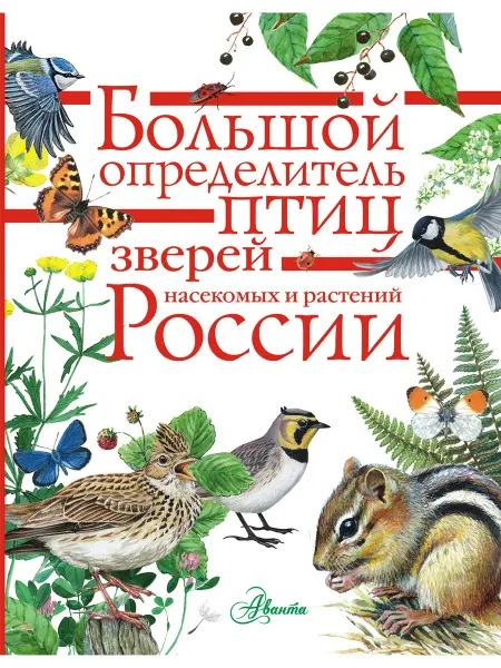 24 Наш Книжный Дом Большой определитель зверей, амфибий, рептилий, птиц, насек