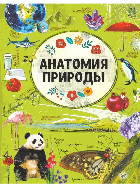 24 Наш Книжный Дом Анатомия природы