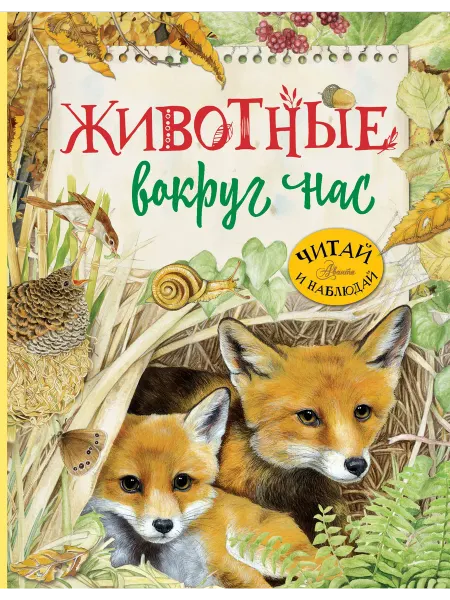 24 Наш Книжный Дом Животные вокруг нас