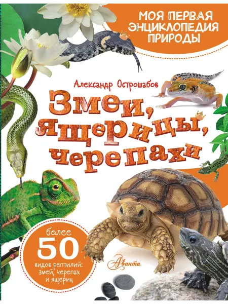 24 Наш Книжный Дом Змеи, ящерицы, черепахи
