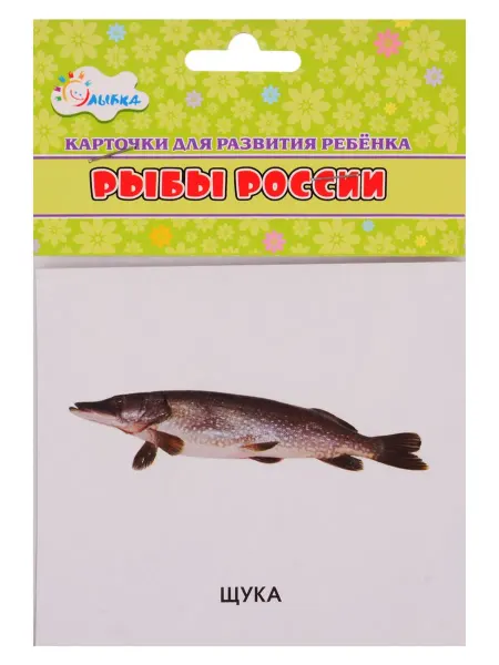 24 Наш Книжный Дом Карточки для развития ребенка "Рыбы России"