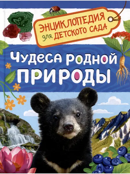 24 Наш Книжный Дом Энциклопедия для детского сада. Чудеса родной природы