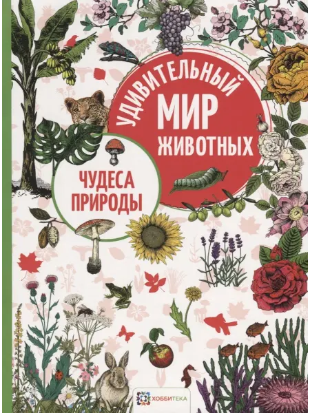 24 Наш Книжный Дом Чудеса природы