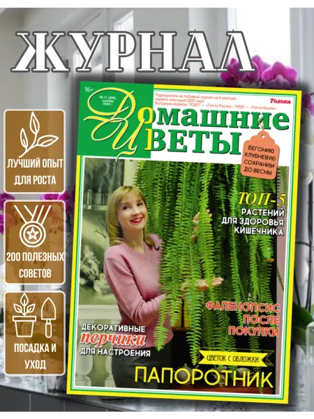 Домашние цветы журнал. Комнатные растения. №11 24.Папоротник