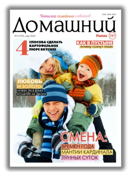 Домашний журнал журнал. Здоровье, кухня, психология, любовь. финансы №24 24