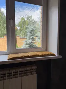 Лежанка 24*78 для кошек на узкий подоконник антискользящая