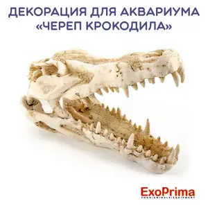 Декорация для аквариума EXOPRIMA "Череп крокодила", 24х11х15,5см