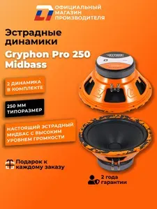 Динамики автомобильные 25 см DL Audio Gryphon Pro 250 MidBass пара