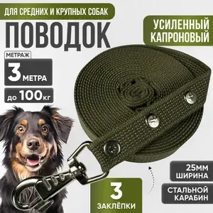Поводок для собак капроновый усиленный 3 м х 25 мм зеленый (до 100 кг)