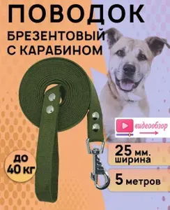 Поводок для собак брезентовый 5 метров, хаки зеленый, ширина 25мм
