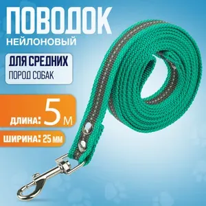 Поводок нейлоновый 5м х 25мм, изумрудно-серый, из ленты высокой плотности, для средних пород собак.