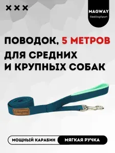 Поводок для собак MagWay с мягкой ручкой/ширина 25 мм/длина 5 м/ бирюза