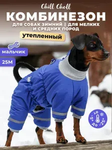 Комбинезон для собак зимний Chill Choll для мелких пород, утепленный, для мальчика, размер 25М.
