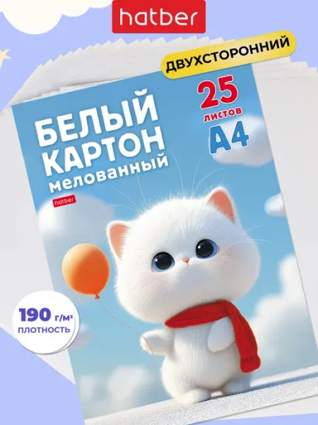 Hatber Белый картон 25 листов А4 двусторонний в папке