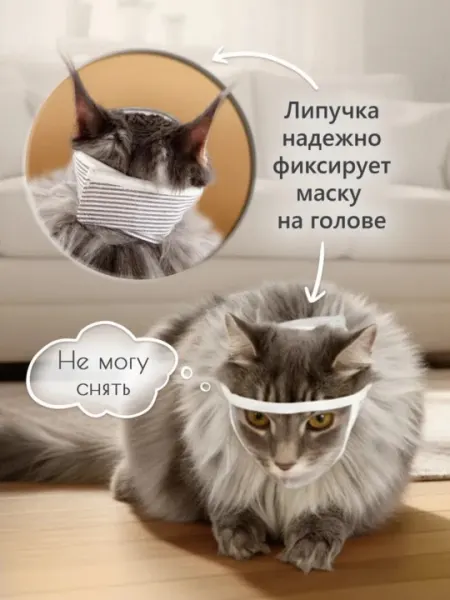 Намордник воротник для кошек , 25-30см, S (Вьетнам)