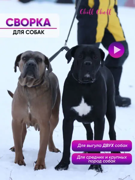 Chill Choll Поводок сворка для двух собак 25ммх50см