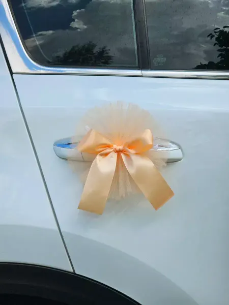 Банты на ручки зеркала автомобиля персиковые