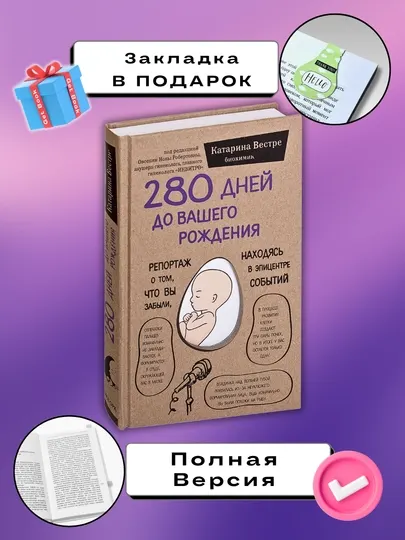 280 дней до вашего рождения, Катарина Вестре