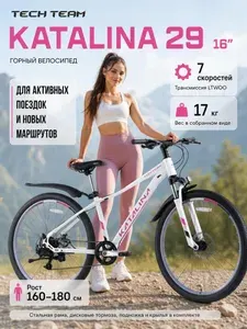Велосипед горный Tech Team Katalina 29x16 фиолетовый