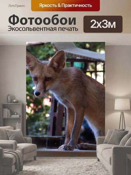 LotsPrints Фотообои "Лиса, животное, fox" 2x3м