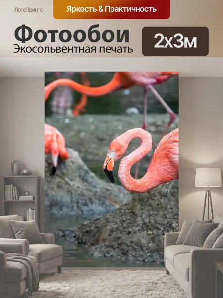 LotsPrints Фотообои "Животные, фламинго, розовые фламинго" 2x3м