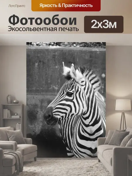LotsPrints Фотообои "Зебра, зоопарк, черно-белый" 2x3м