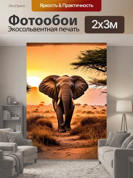LotsPrints Фотообои "Слон в африканской саванне на закате." 2x3м