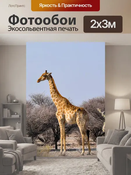 LotsPrints Фотообои "Жирафа, африке, намибия" 2x3м
