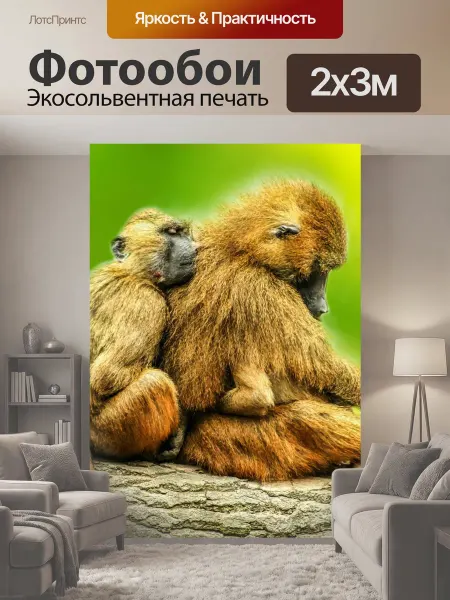 LotsPrints Фотообои "Животные, бабуины, браун" 2x3м